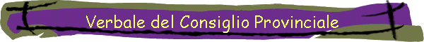 Verbale del Consiglio Provinciale