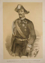 Manfredo Fanti - Clicca per ingrandirla!