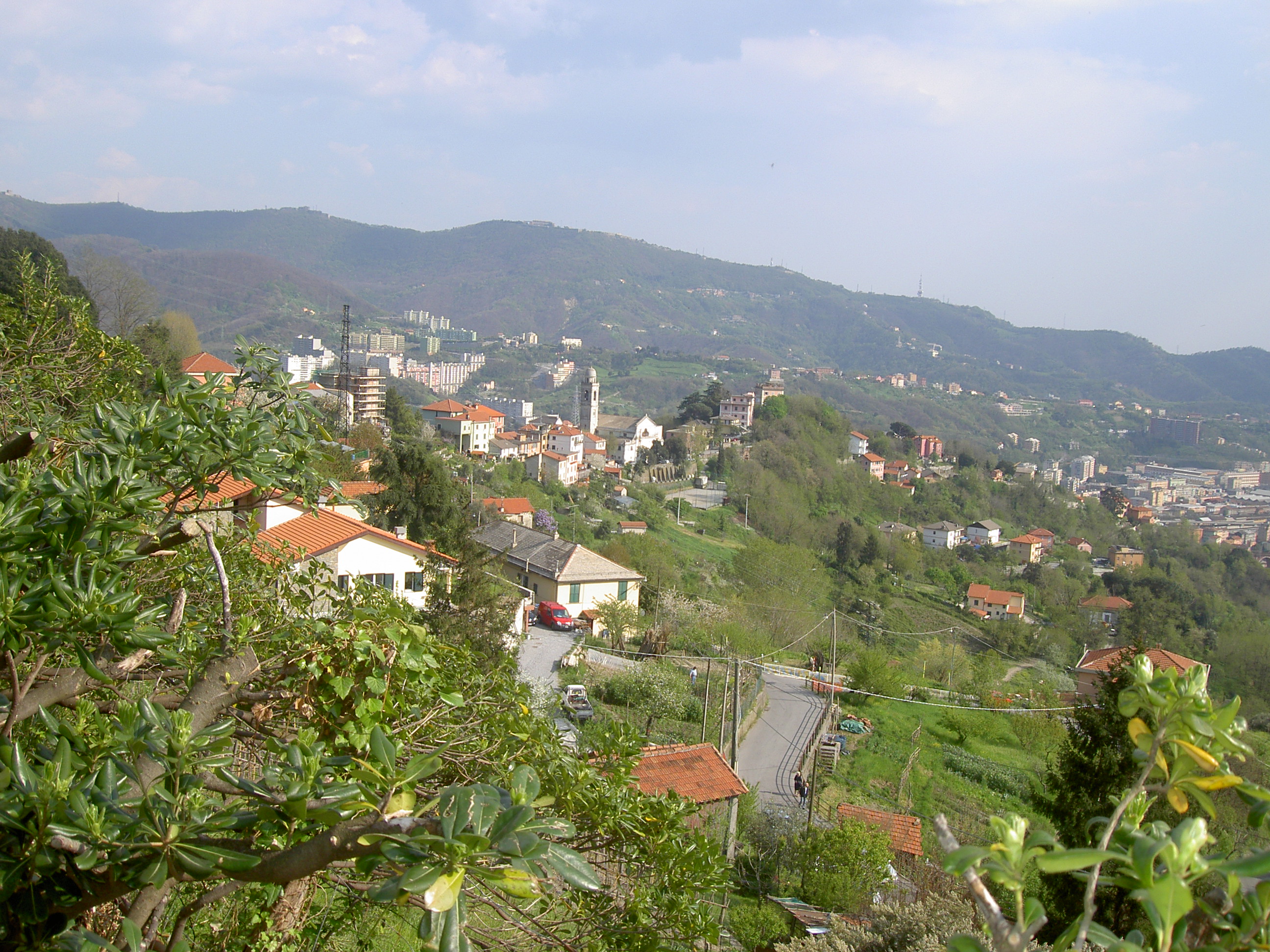 Val Polcevera: Murta