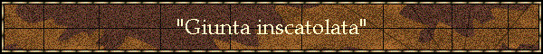 "Giunta inscatolata"