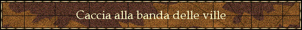 Caccia alla banda delle ville