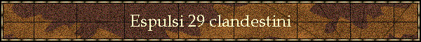 Espulsi 29 clandestini