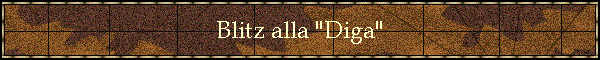 Blitz alla "Diga"