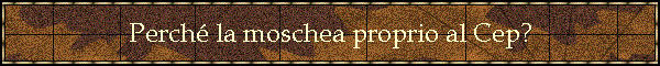 Perch la moschea proprio al Cep?