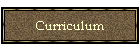 Curriculum