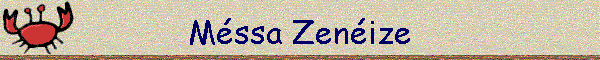 Mssa Zenize