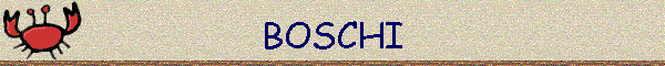 BOSCHI