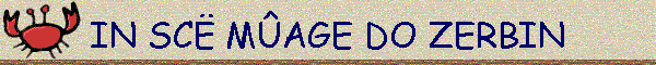 IN SC MAGE DO ZERBIN