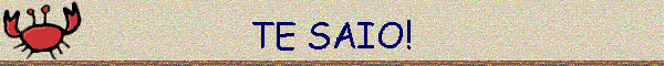 TE SAIO!