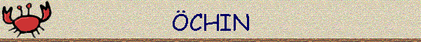 CHIN