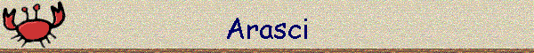 Arasci