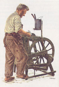 L'amolitta